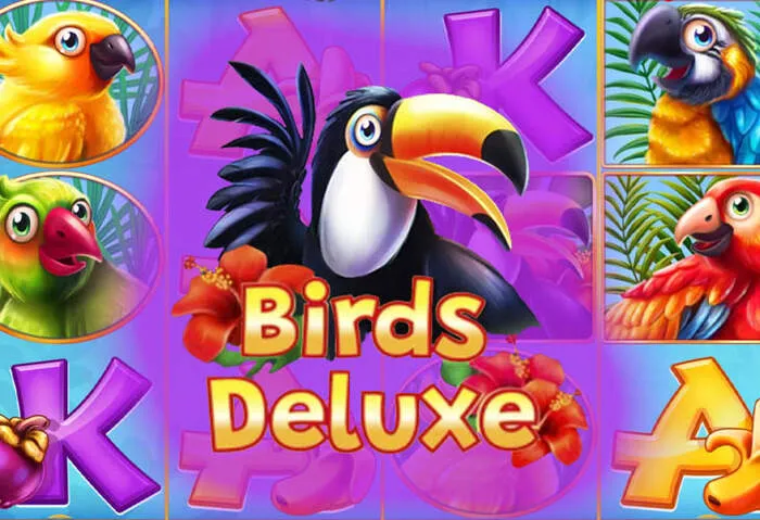 Casino VIP program with exclusive member benefits and luxury rewards